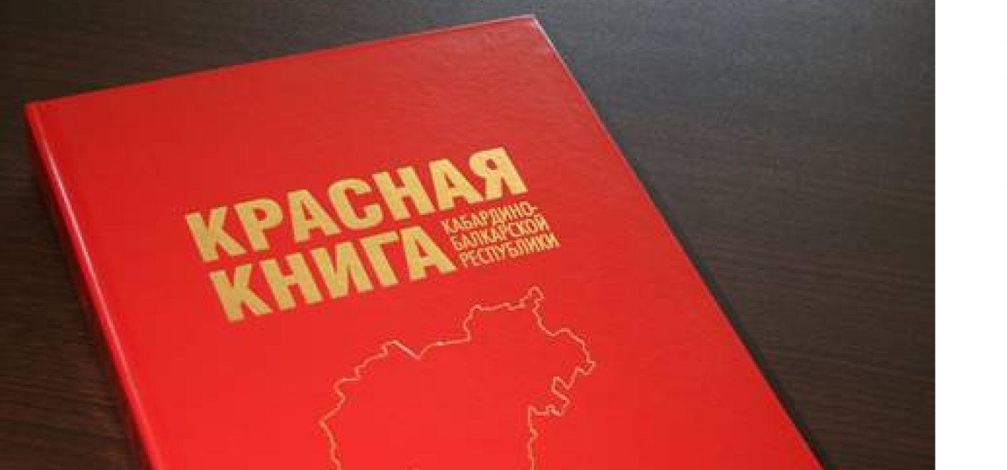 Красная книга кбр презентация