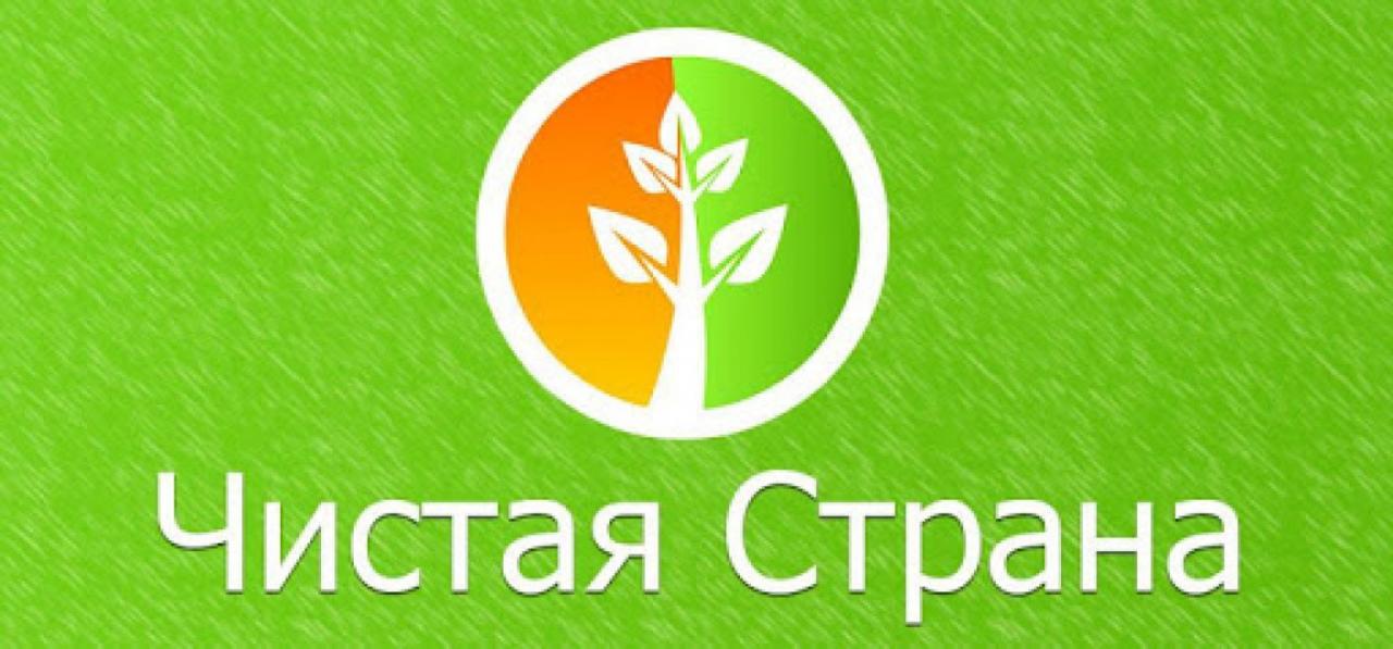 Федеральный проект чистая страна результаты