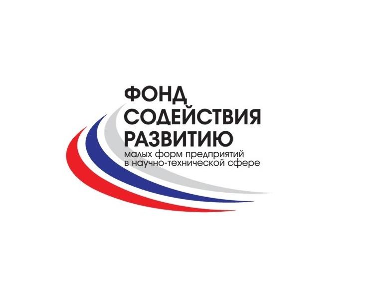 Конкурс проектов фонда содействия развитию институтов гражданского общества в пфо