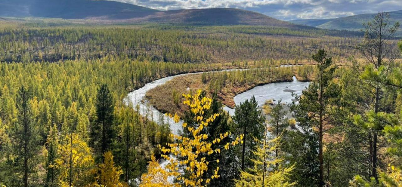 Иркутский лесной комплекс. Что о природе Иркутской области говорили.